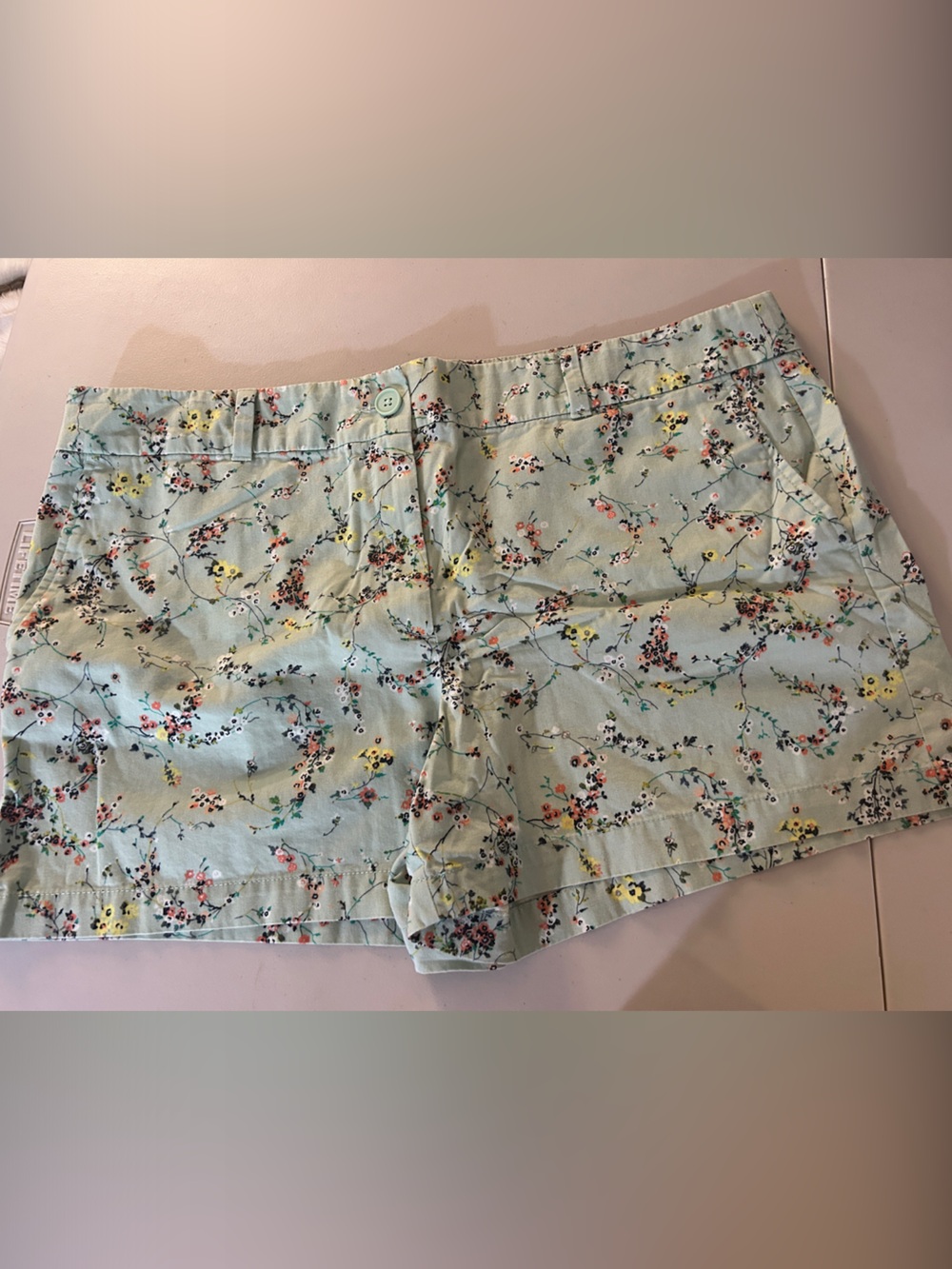 LOFT Mint Floral Cropped Women’s Shorts